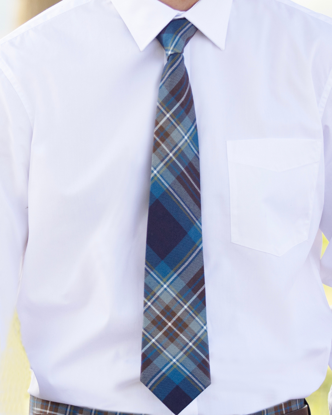 Mens Scottish Tartan Tie - Holyrood